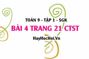 Bài 4 trang 21 Toán 9 tập 1 Chân trời sáng tạo SGK